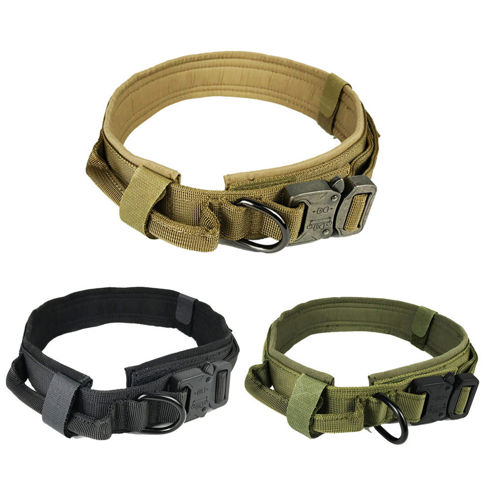 Nylon Dog Collar