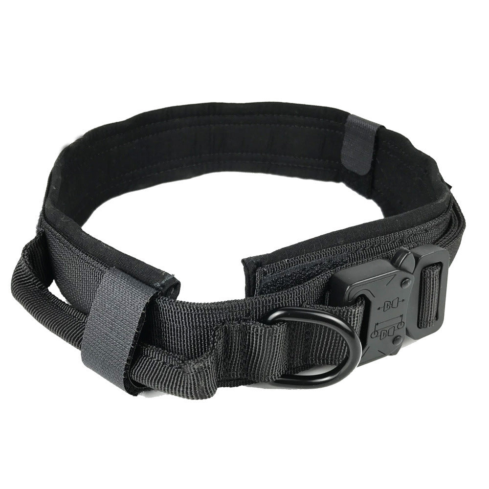 Nylon Dog Collar