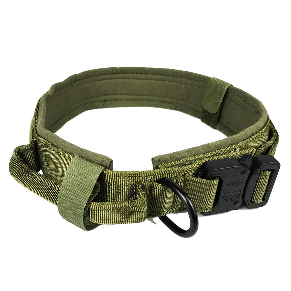 Nylon Dog Collar