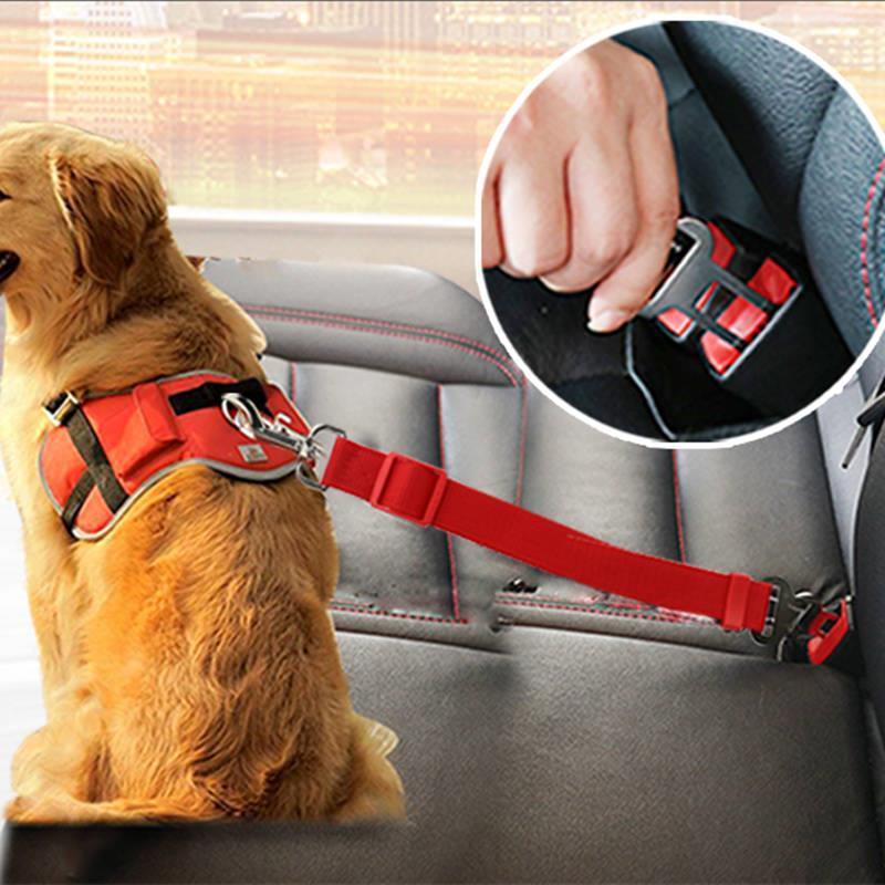 Dog Traction Belt & Telescopic Car Rope