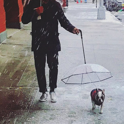 Transparent Dog Umbrella