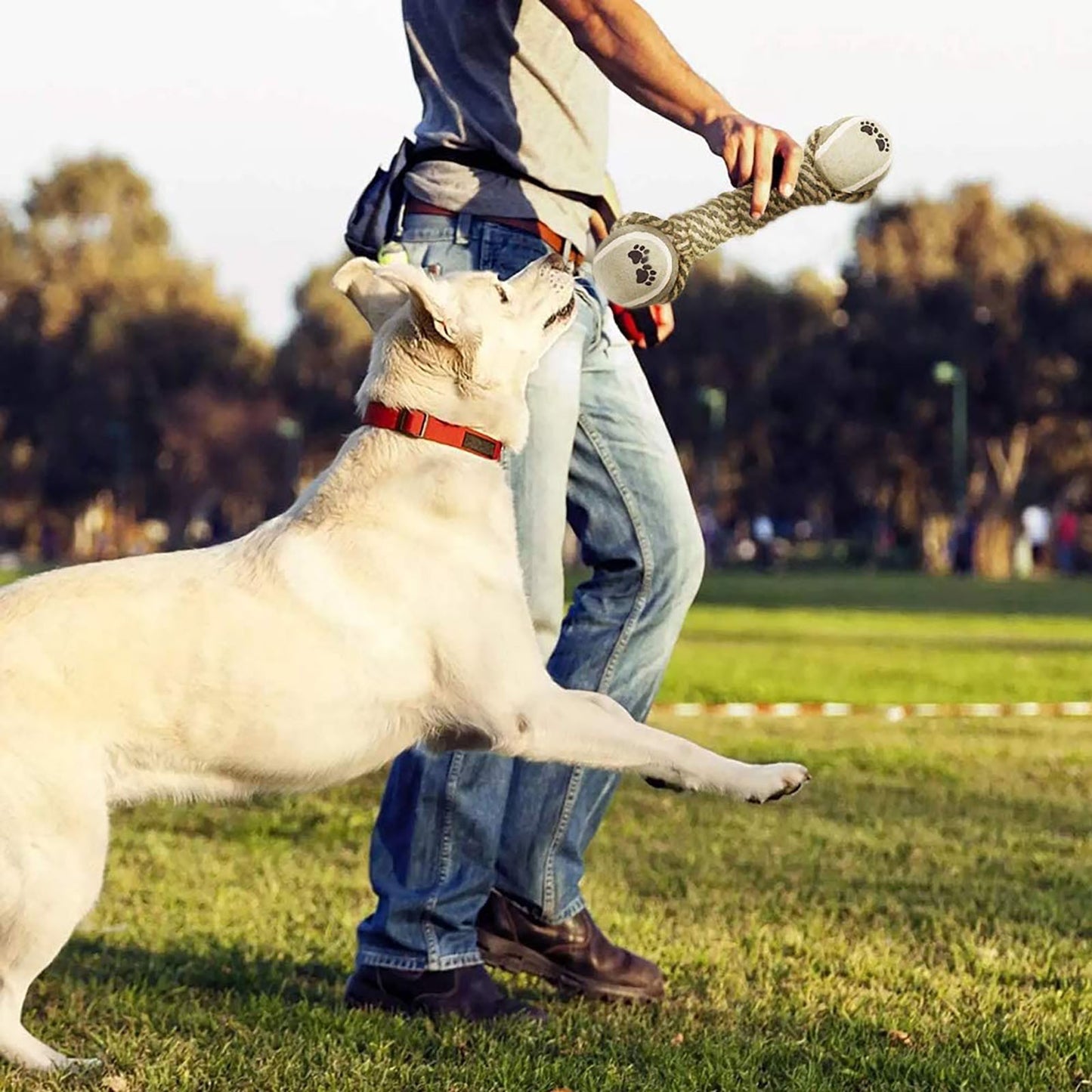 Interactive Cotton Rope Dog Toy