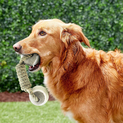 Interactive Cotton Rope Dog Toy