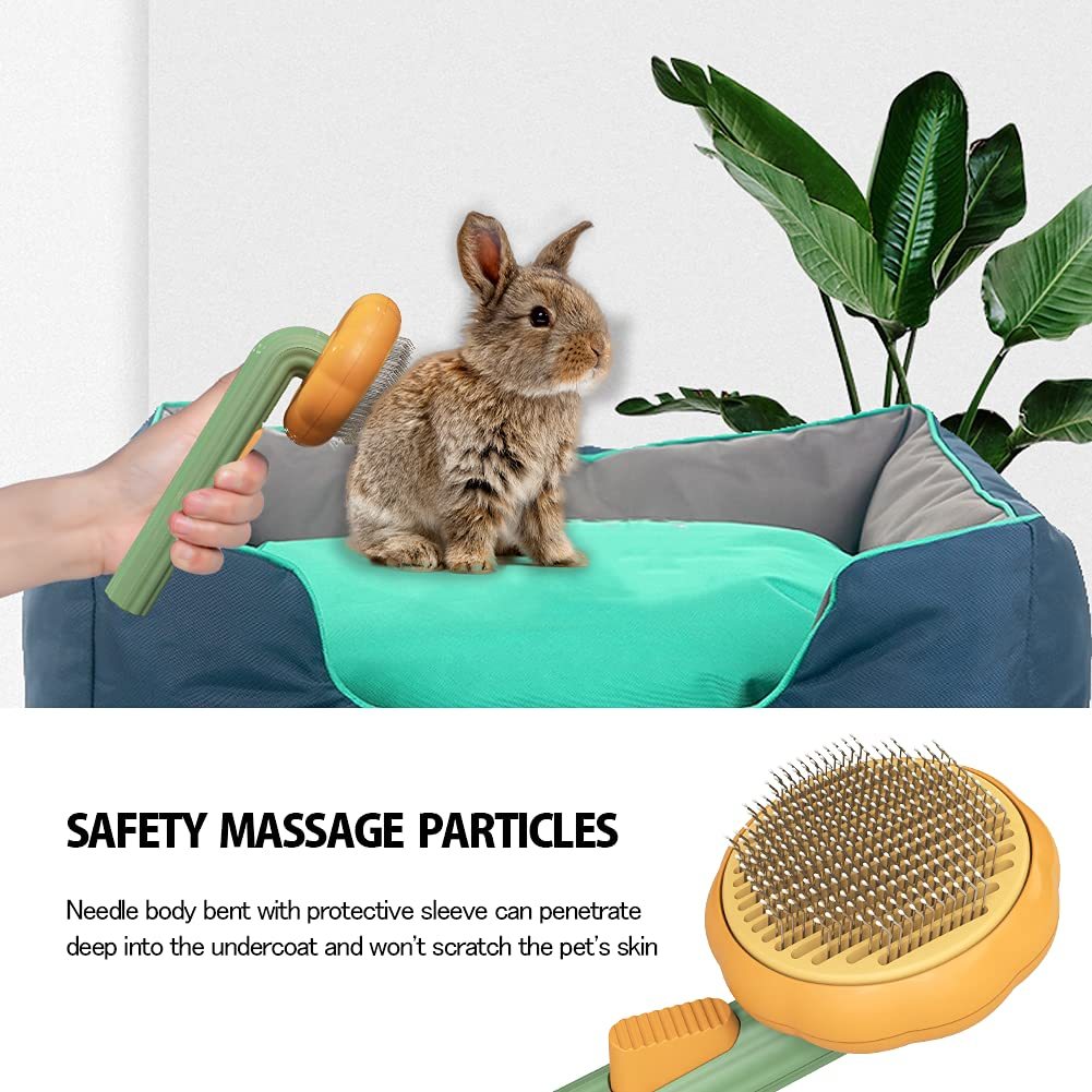 Pet Pumpkin Self-Cleaning Slicker Brush