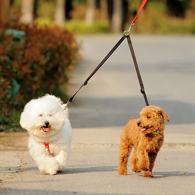 2-Dog Leash Coupler – Double Twin Lead for Walking