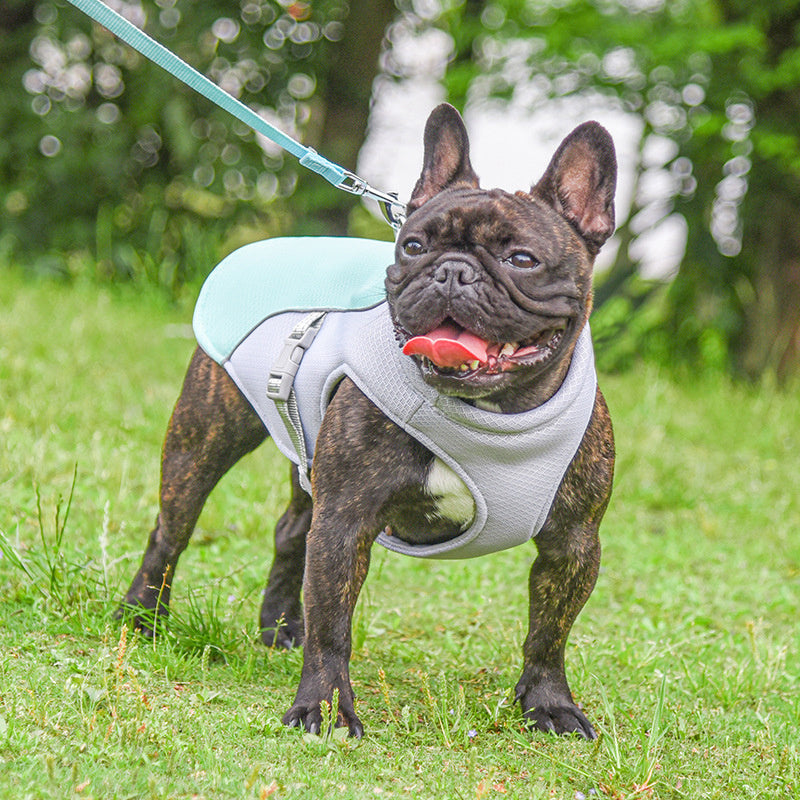 Breathable Outdoor Pet Cooling Vest