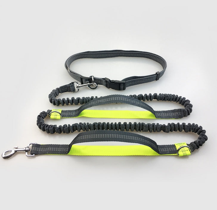 Double Elastic Reflective Running Dog Leash