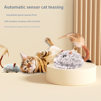 Electric Mouse Cat Toy: Self-Hi Relieving Pole