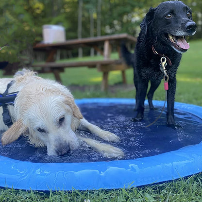 Pawsome Puddle Ultimate Dog Water Splash Pad For Summer Fun