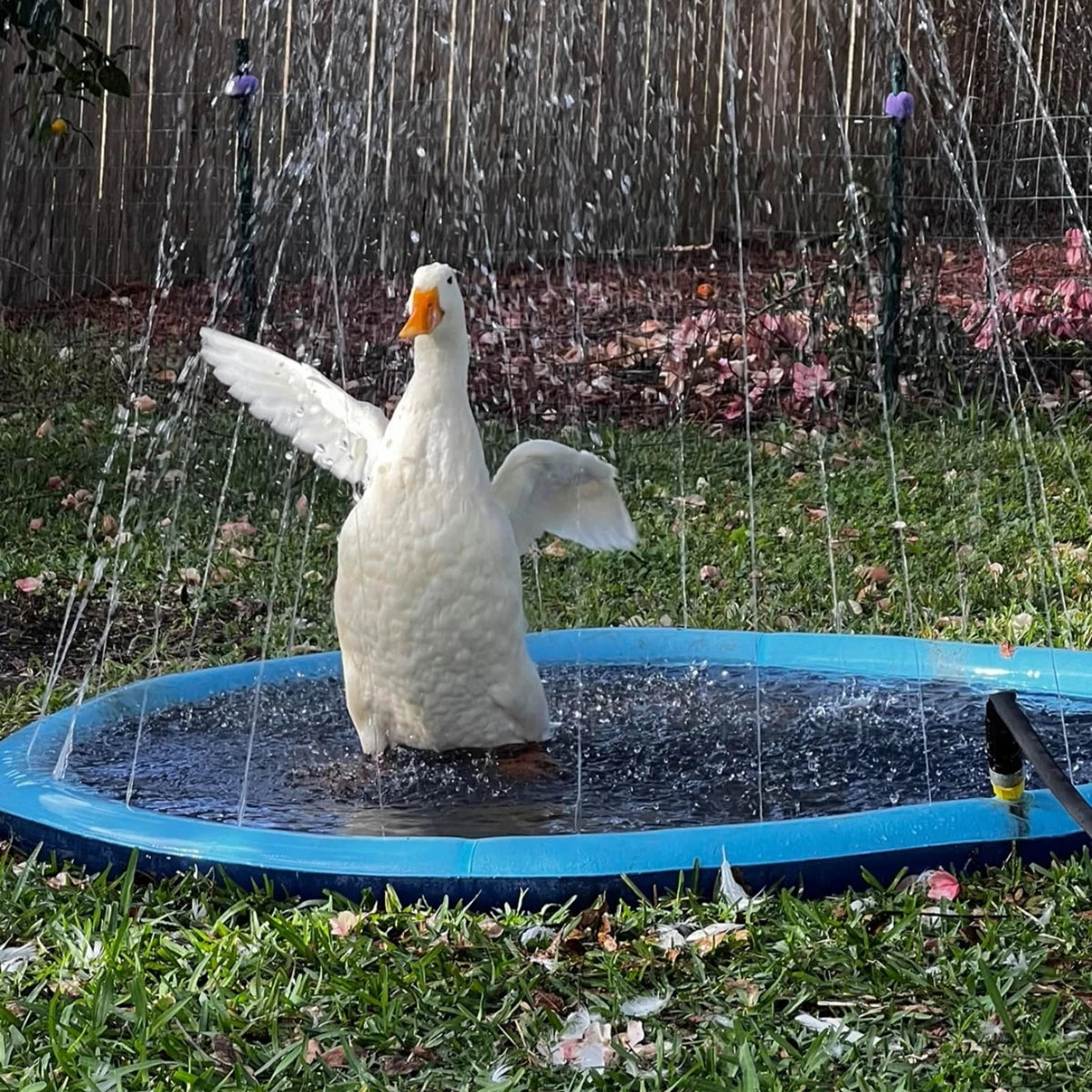 Pawsome Puddle Ultimate Dog Water Splash Pad For Summer Fun