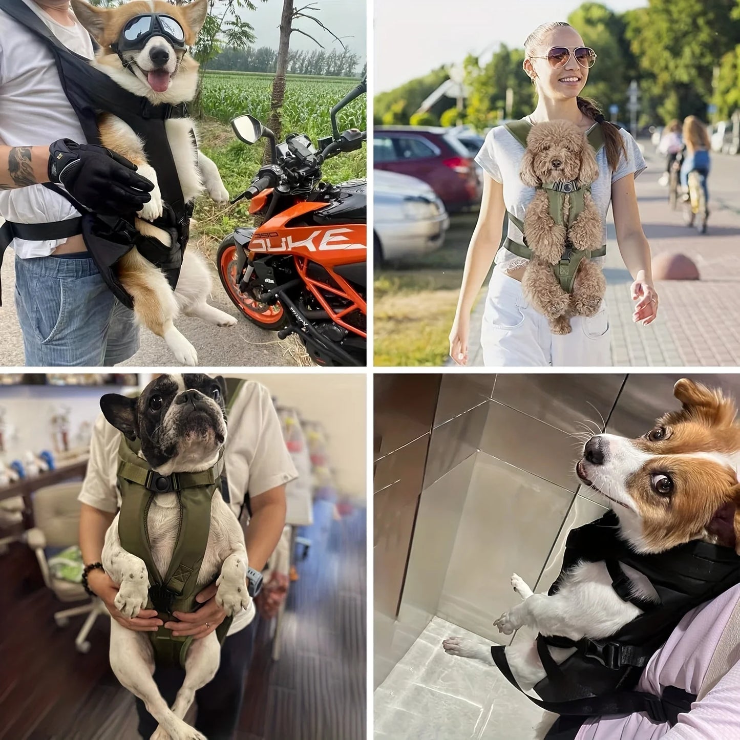 PetStride - Adjustable Pet Front Carrier