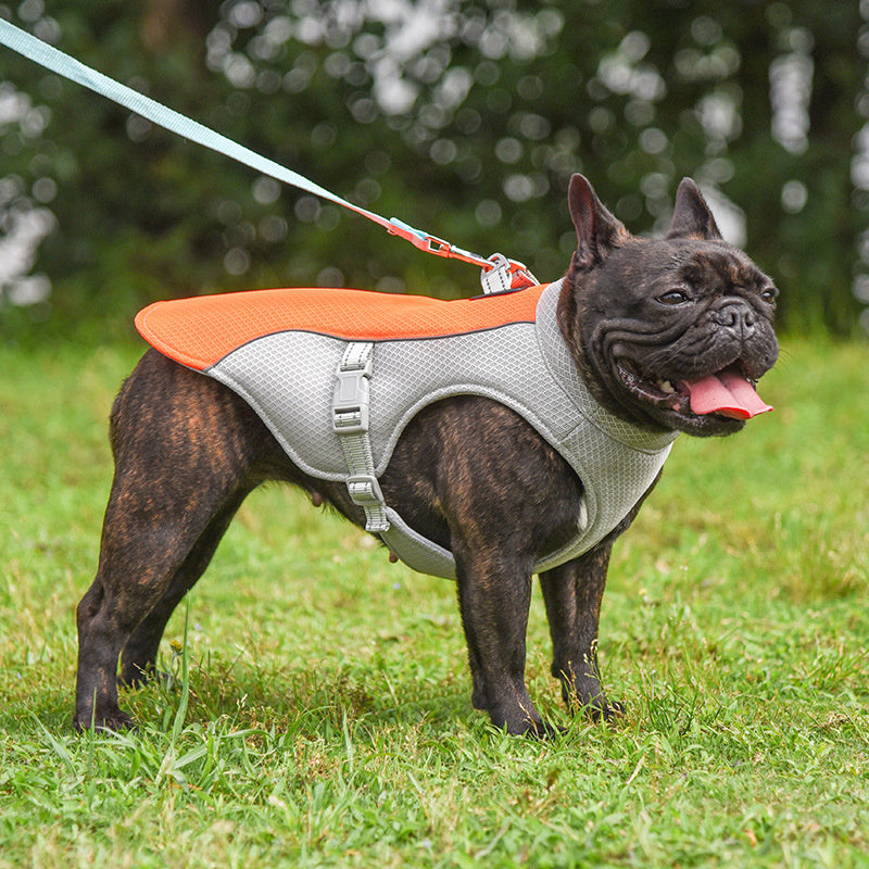 Breathable Outdoor Pet Cooling Vest