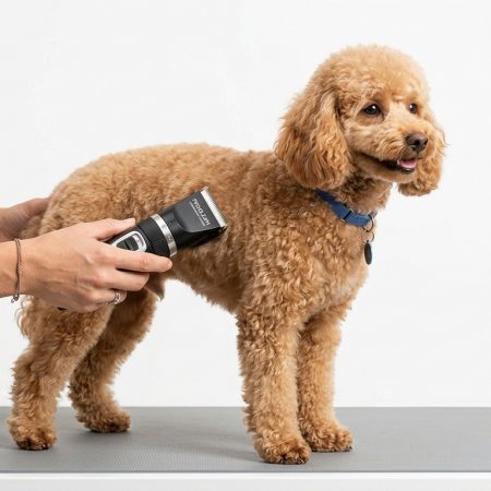 Professional Cordless Pet Hair Clippers