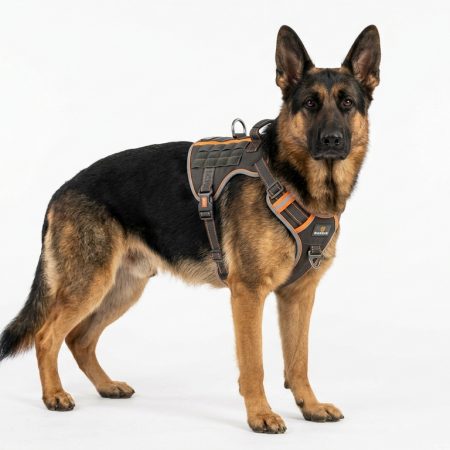 Reflective No-Pull Dog Harness