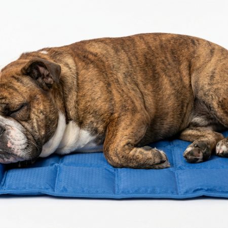 Pressure-Activated Cooling Gel Mat for Dogs