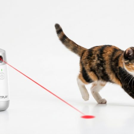Interactive Automatic Laser Toy for Cats