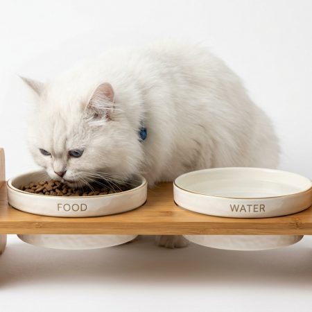 Elevated Ceramic Double Pet Bowls with Bamboo Stand