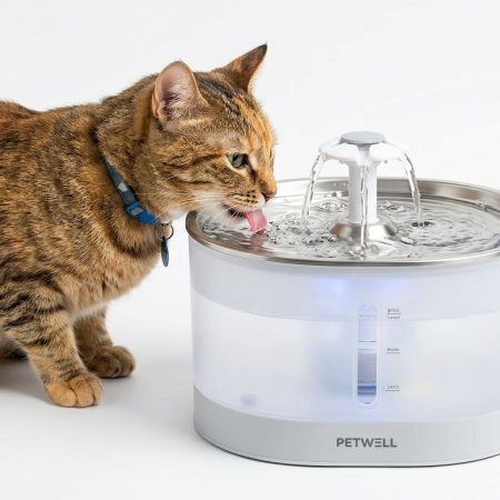 Ultra-Quiet Automatic Pet Water Fountain